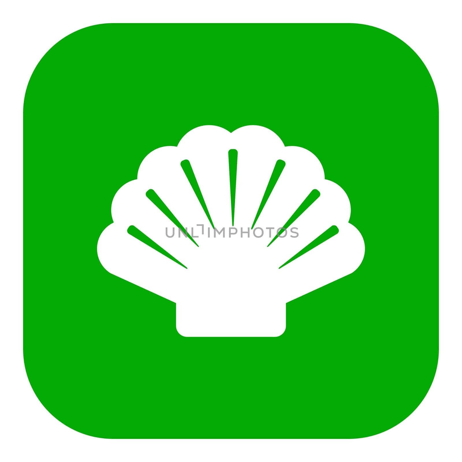 Shell and app icon