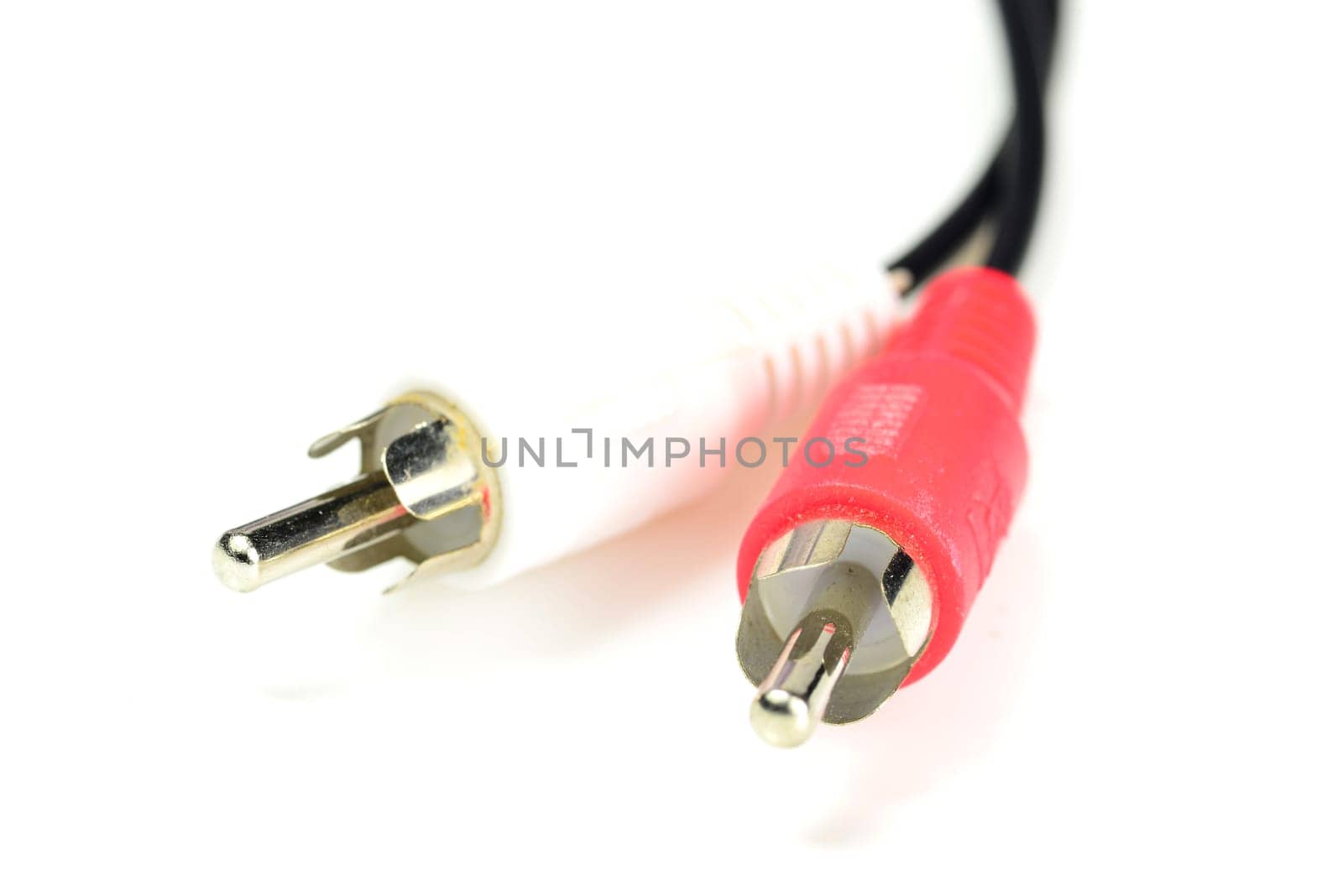 RCA connector in a closeup