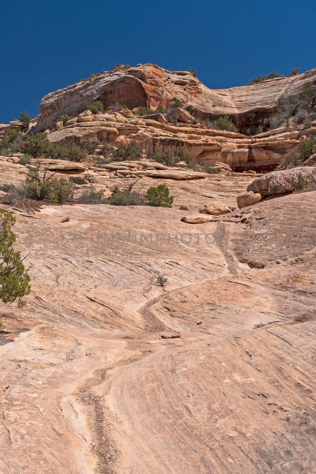 Rocky Wash Coming Down From a Sandstone Cliff in Natural Bridges National Monument in Utah