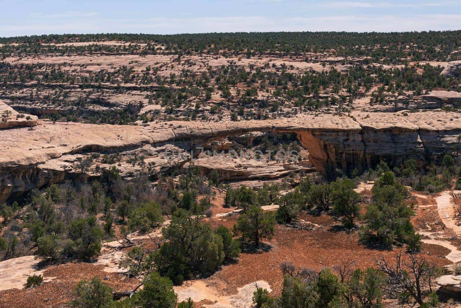 Natural Bridge in a Slick Rock Desert Landscape at Owachamo Bridge in Natural Bridges National Monument in Utah