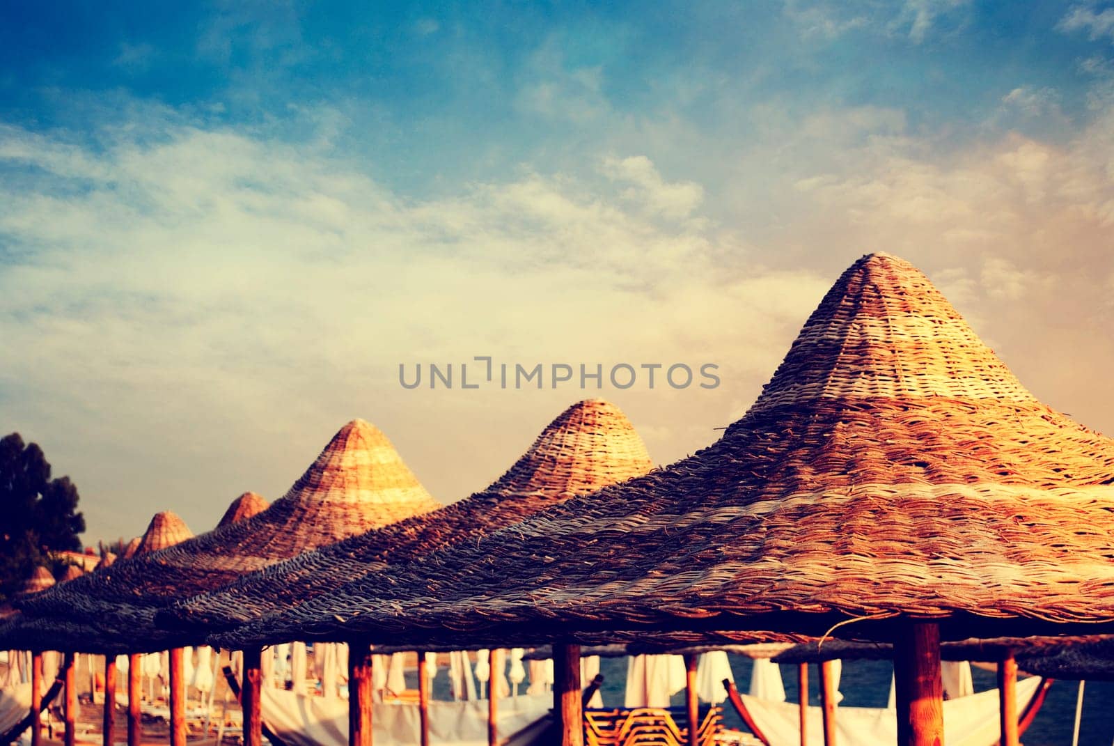 Thatched parasols on the beach at sunset