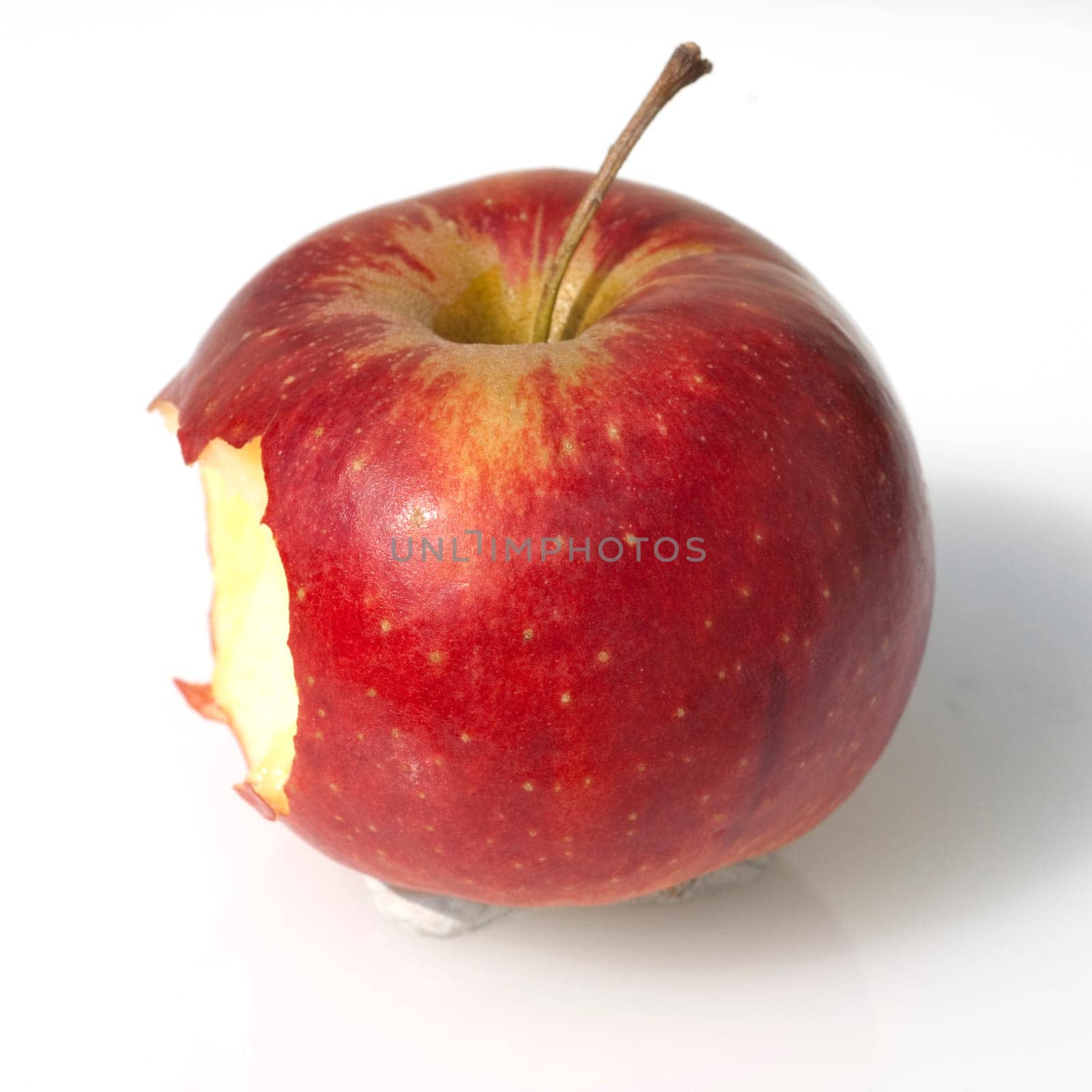 Apple,malus,domestica
