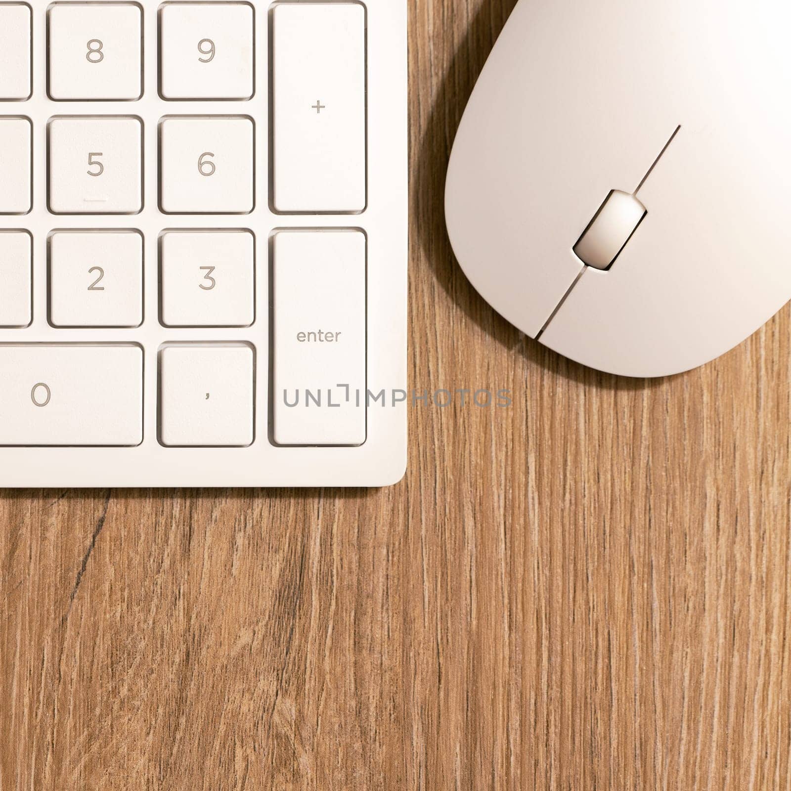 Keyboard from a computer and a computer mouse on a desk in the office