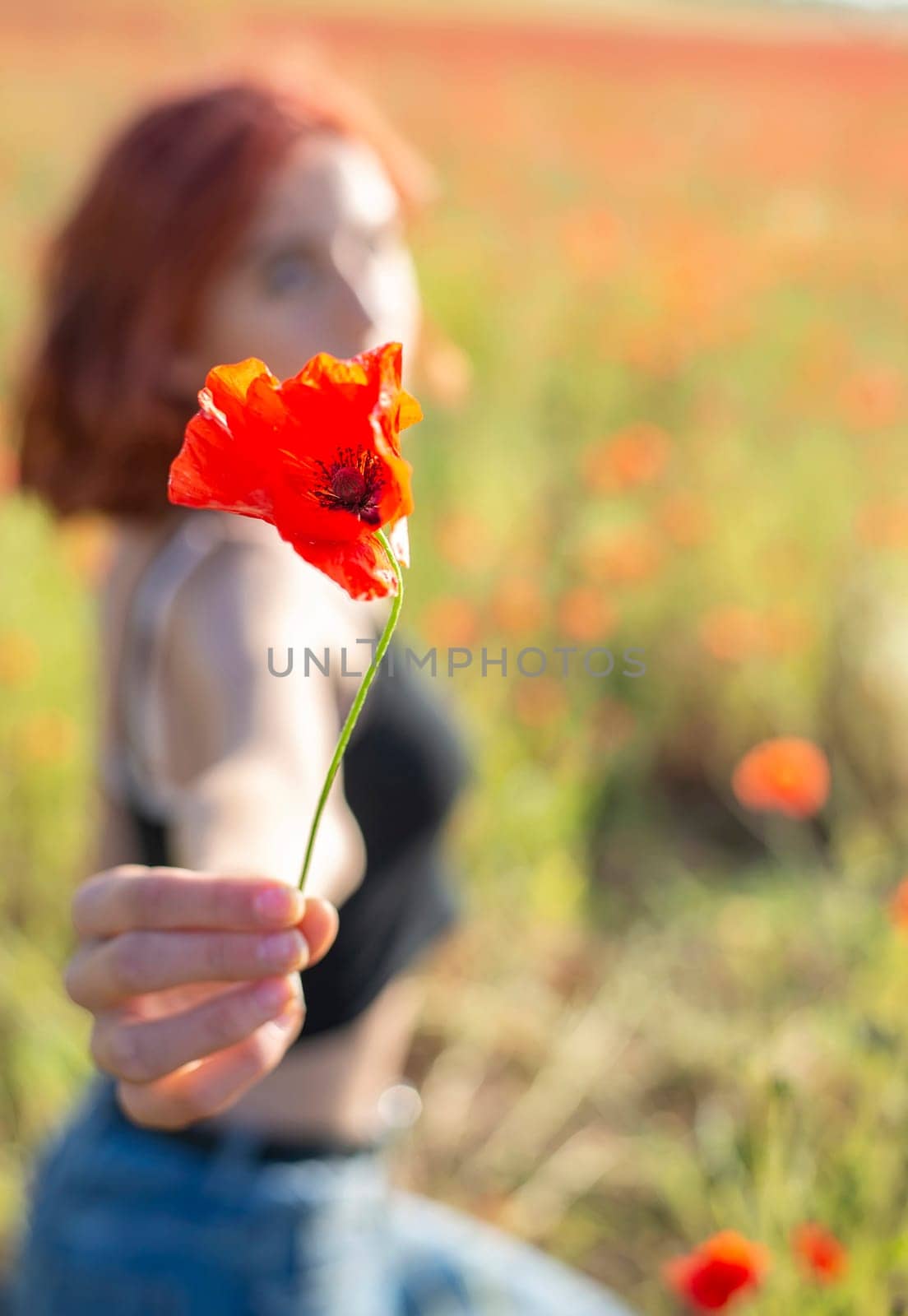 girl with poppy flower in poppy field