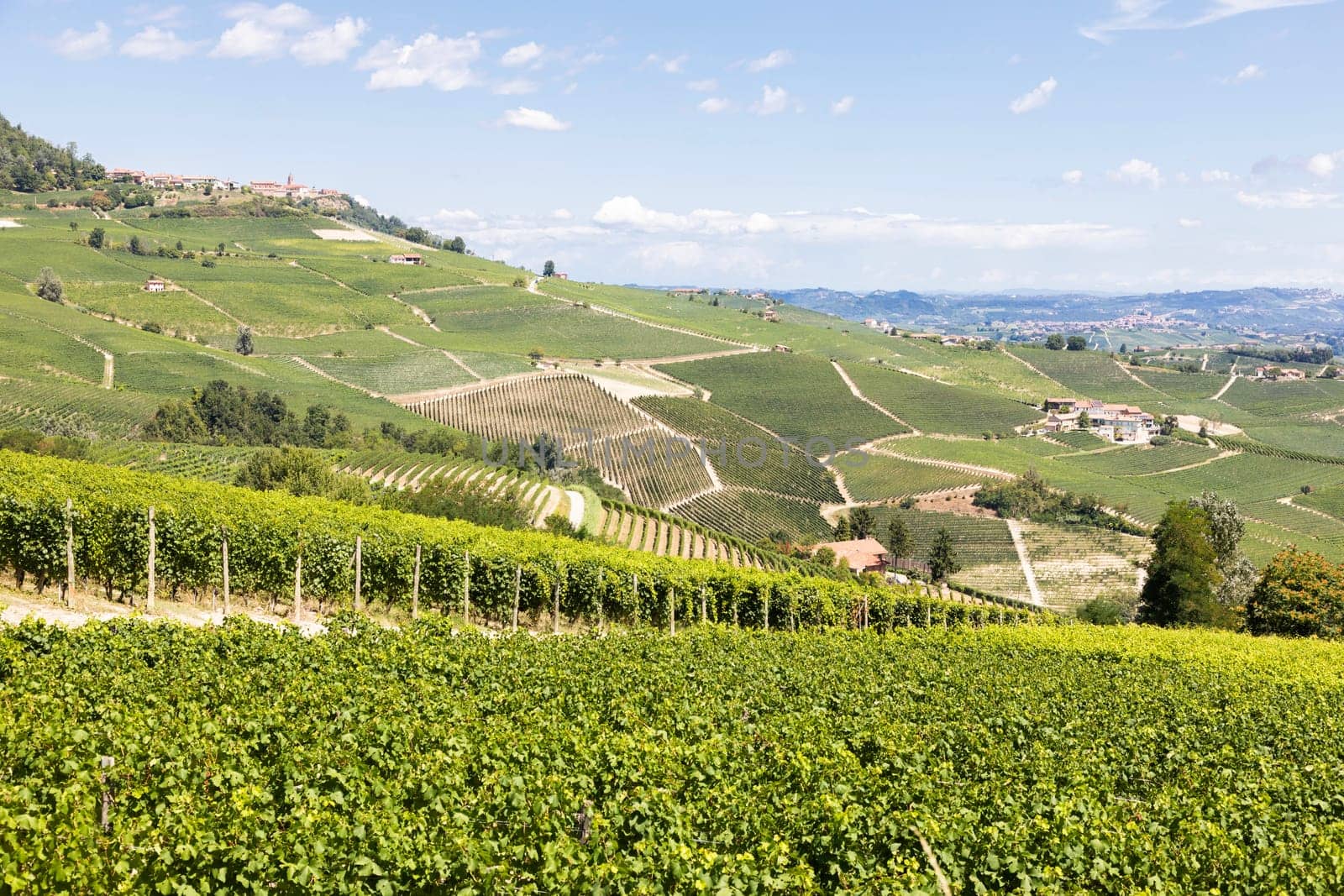 Panoramic countryside in Piedmont region, Italy. Scenic vineyard hill close to Barolo.
