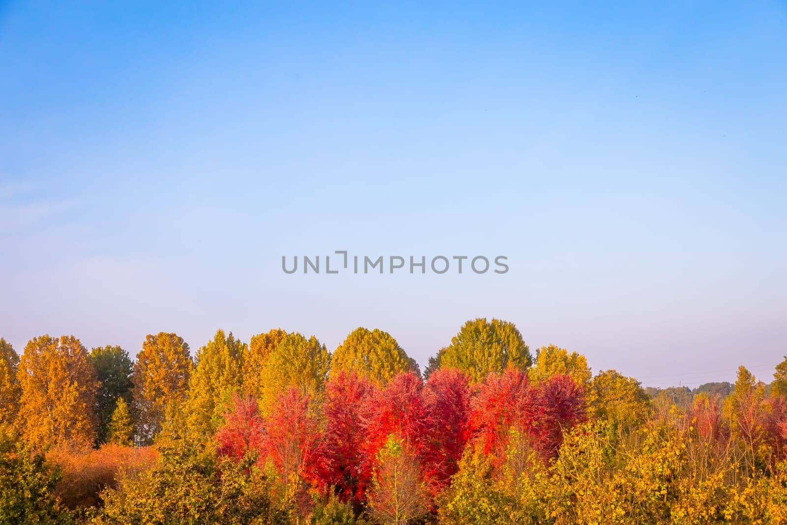 Fall season with blue sky and amazing day light
