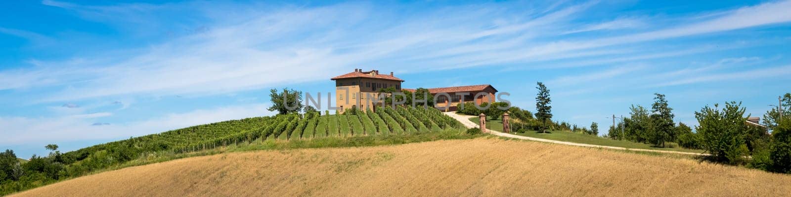 ASTI, ITALY - CIRCA AUGUST 2020: Piedmont hills in Italy, Monferrato area. Scenic countryside during summer season with vineyard field. Wonderful blue sky in background.