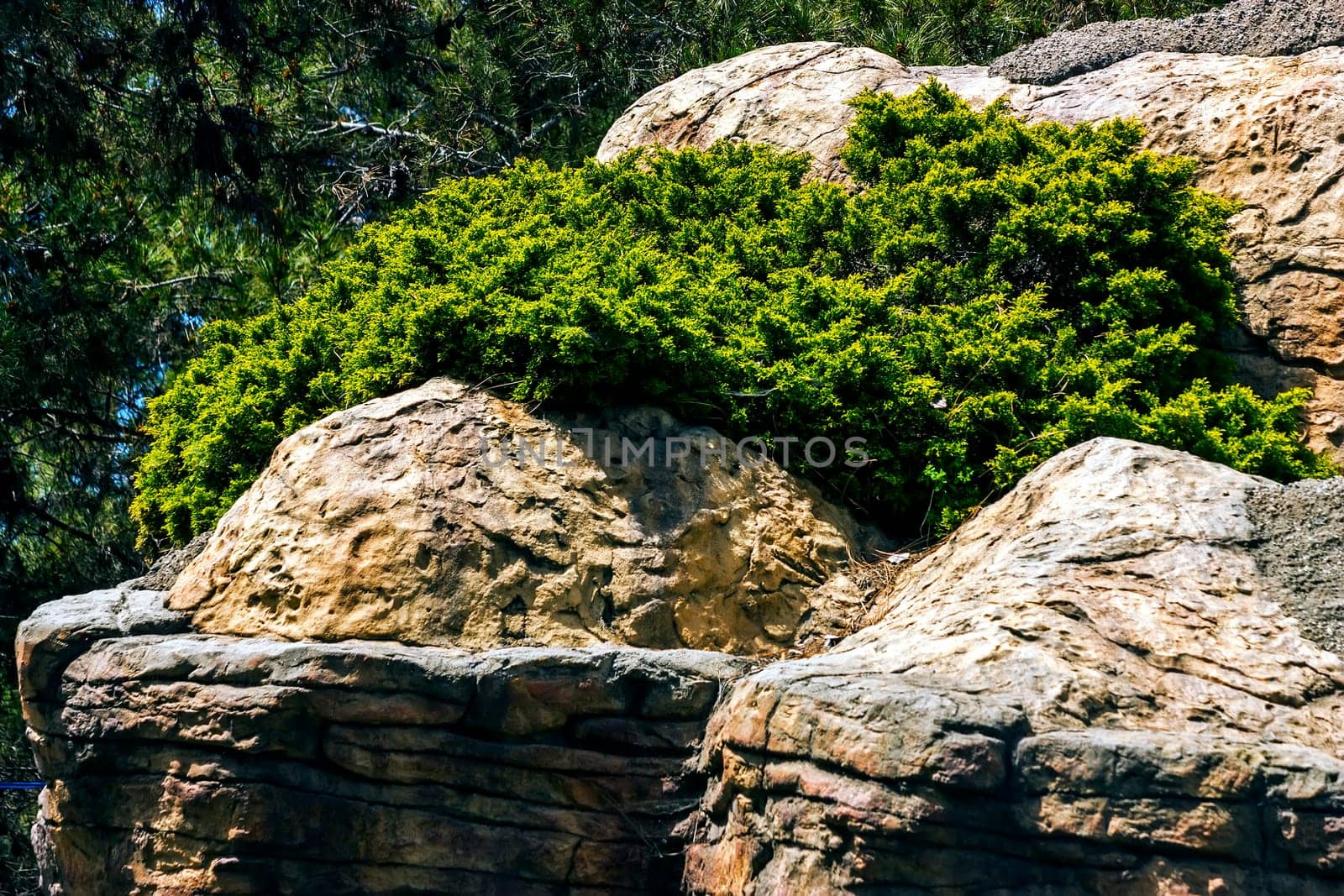 Moss covered rocks on the rock formations on Northern Caucasus.