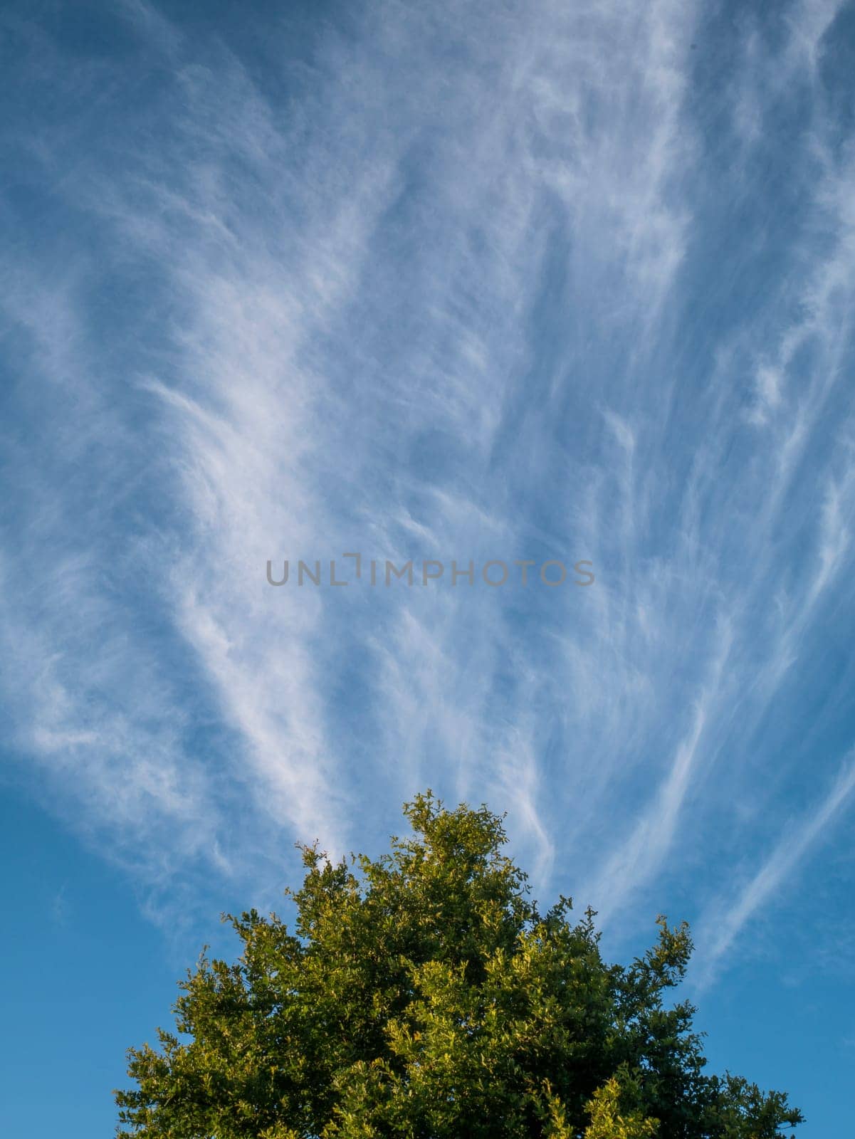 blue sky background with white clouds