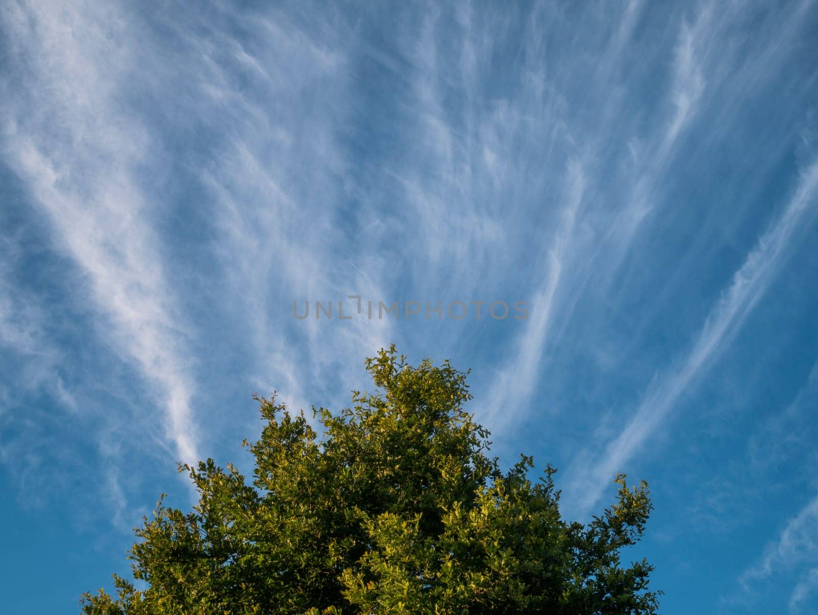 blue sky background with white clouds