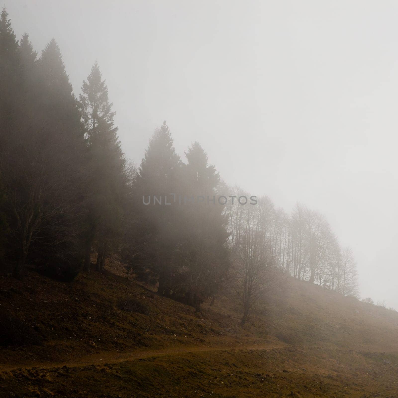 Foggy landscape from Asiago plateau trekking path. Veneto landmark