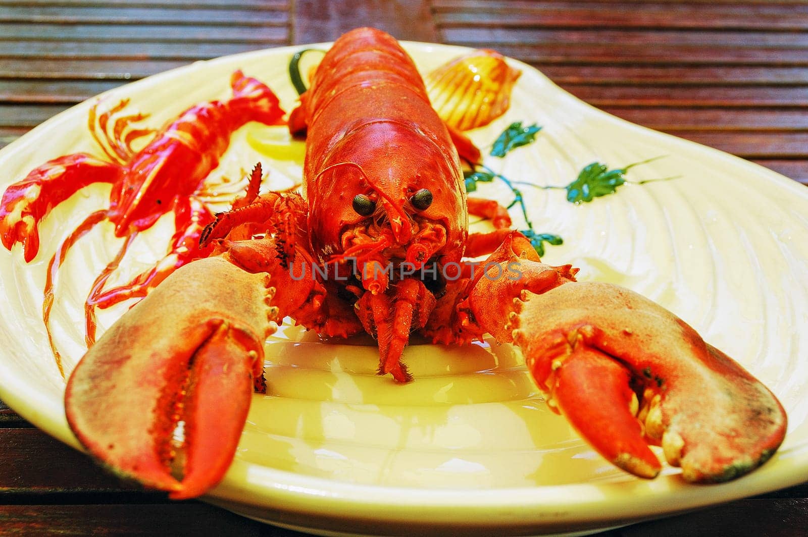 Plate with lobster