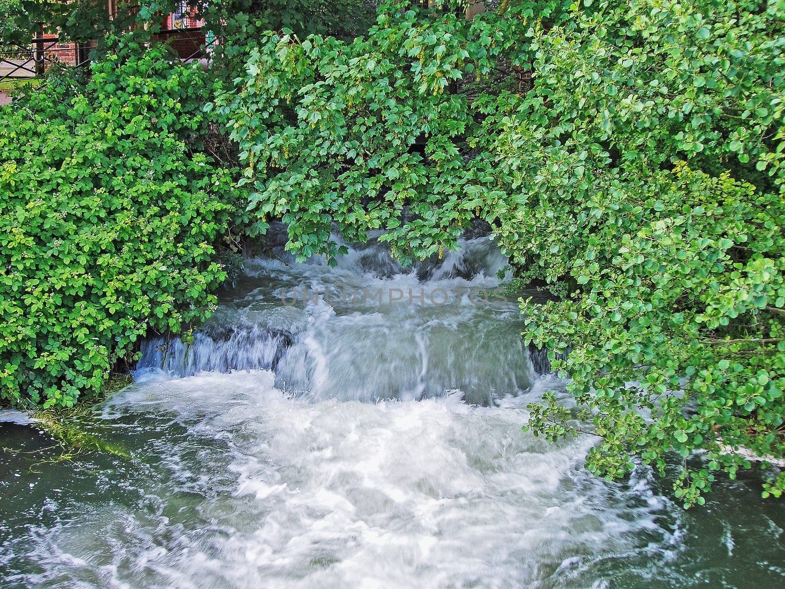 Rapids on creek in Salisbury