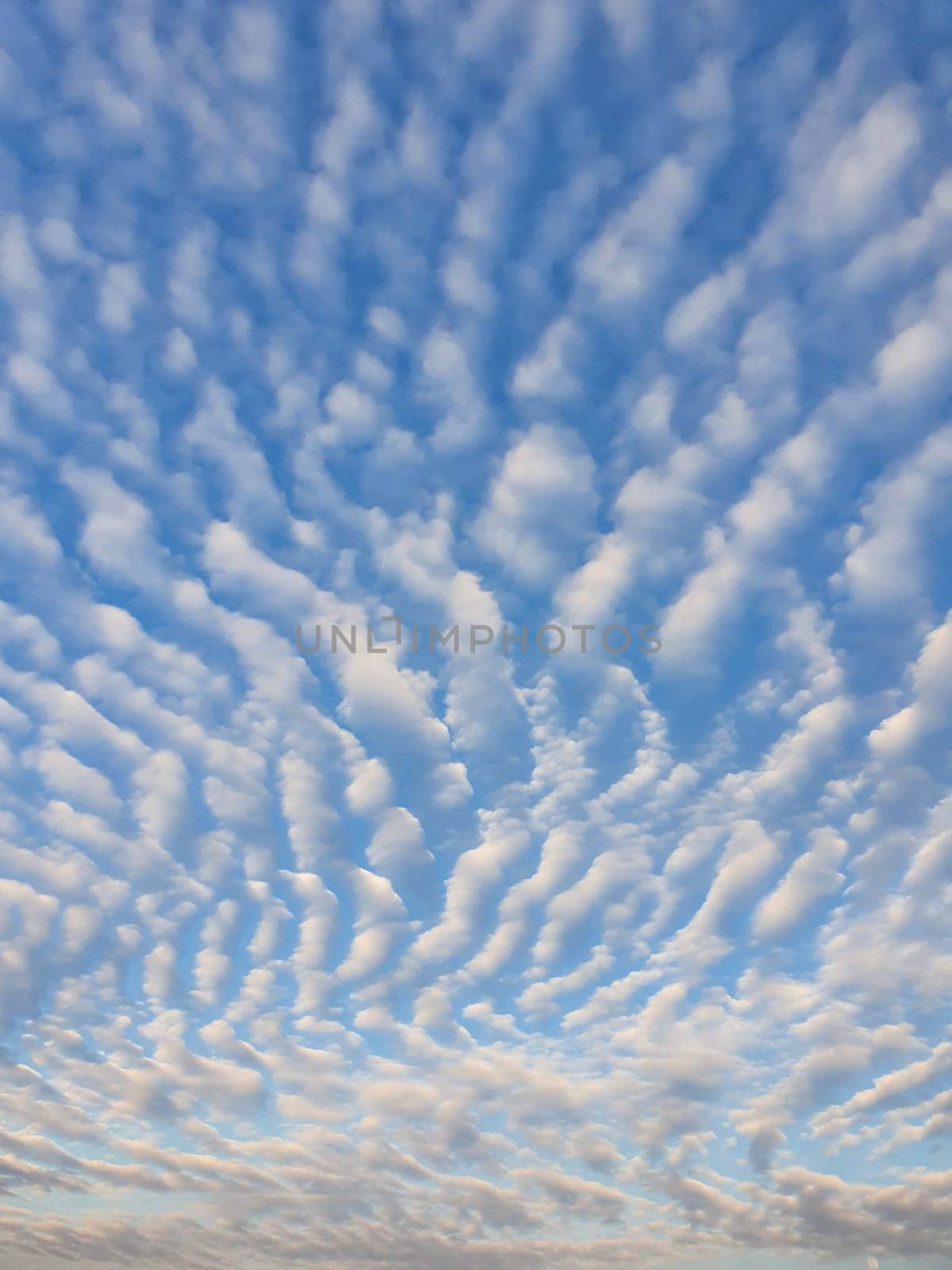 Abstract cloudscape scene. Beautiful sky background with fluffy clouds texture. Marvelous aerial composition, overcast shapes and patterns. Air freshness and celestial beauty