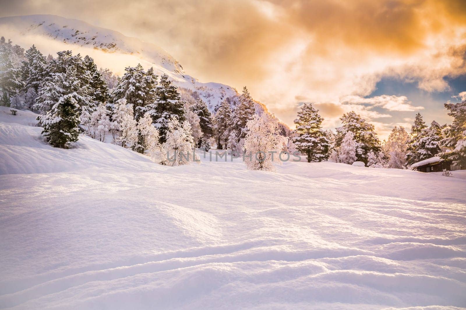 Beautiful Snow Landscape background during sunrise with fog in the distance, forest with trees, snow waves in the forefront, stryn, norway