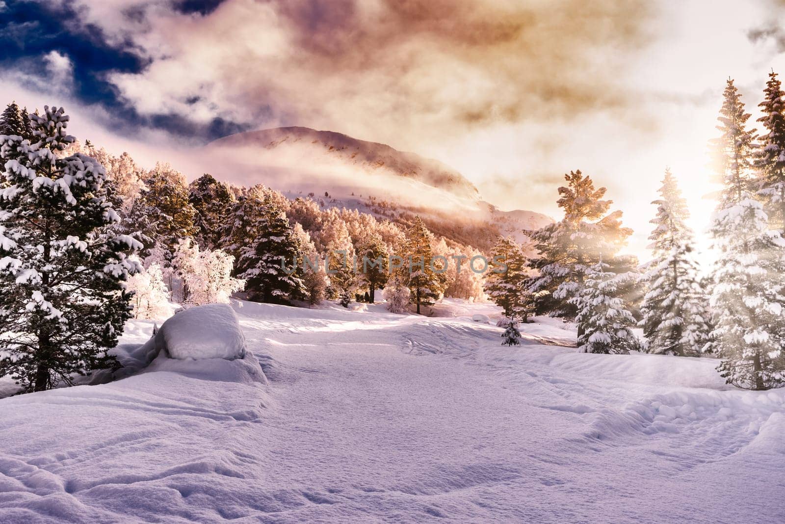 Beautiful Snow Landscape background during foggy sunrise with sunbeam, trees and plenty of snow in the forefront, stryn, norway