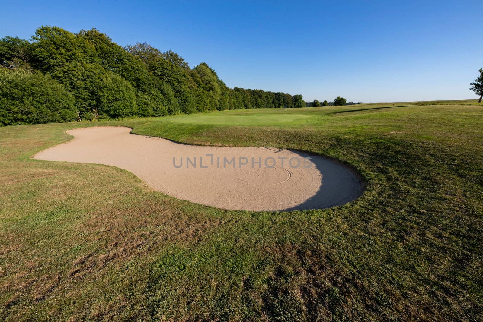 on the golf place
