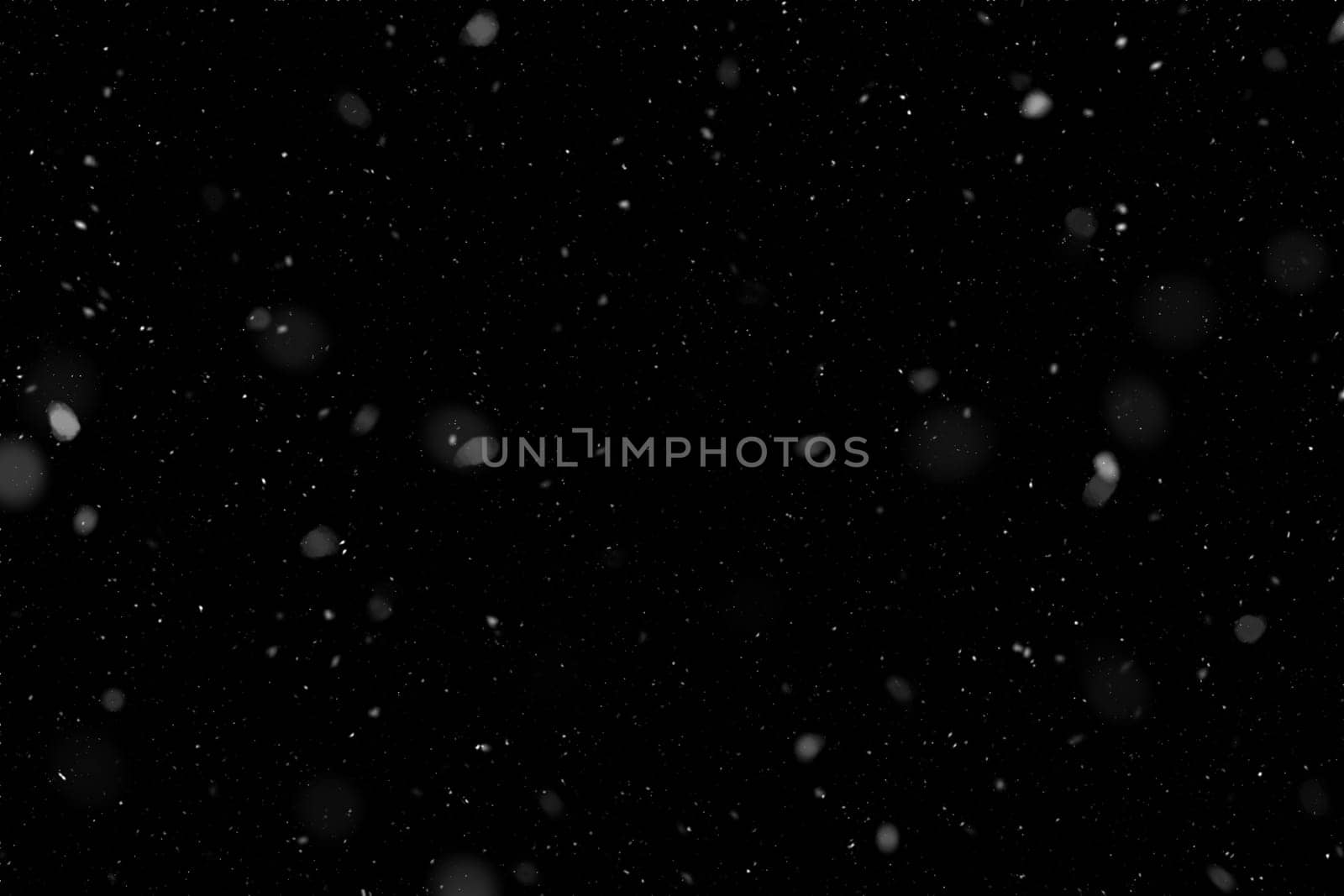 Real falling snow on a black background