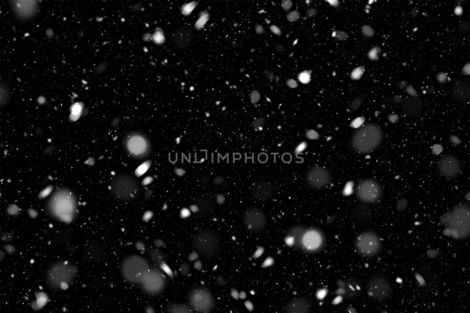 Real falling snow on a black background