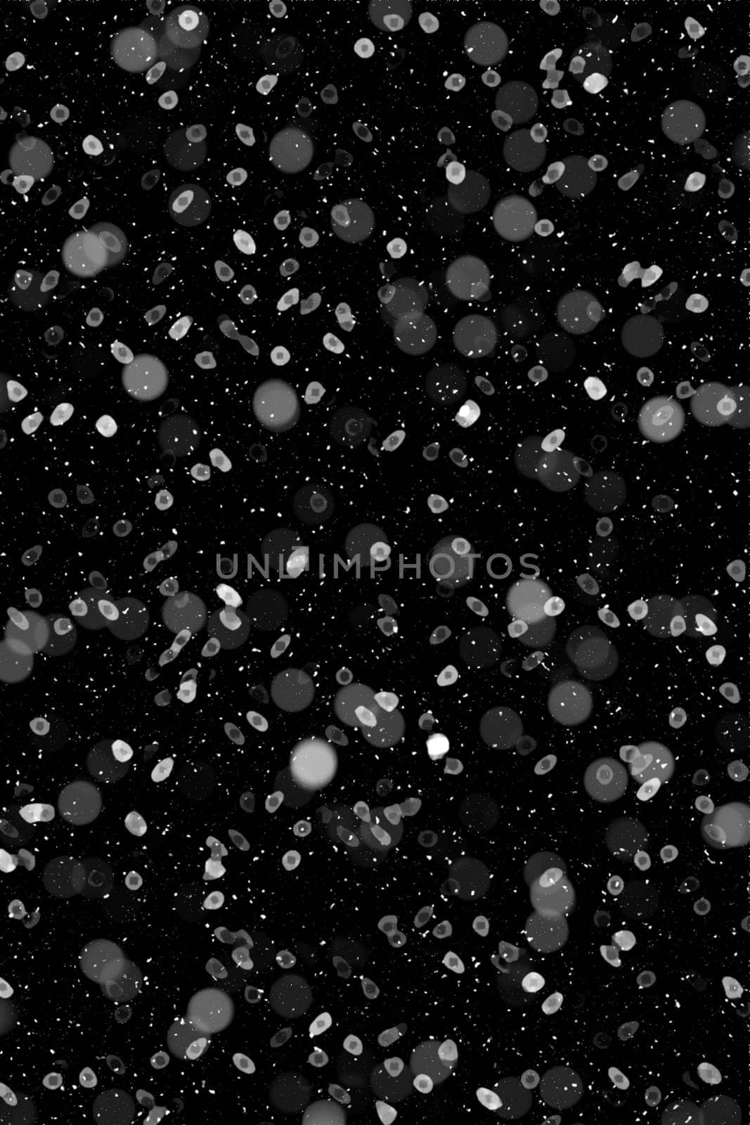 Real falling snow on a black background
