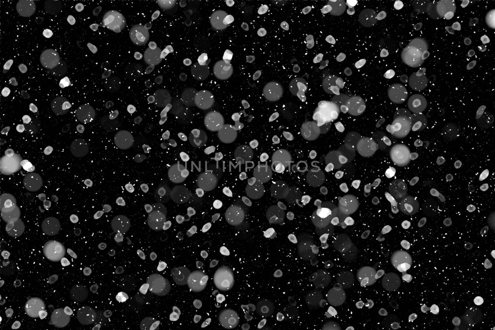 Real falling snow on a black background