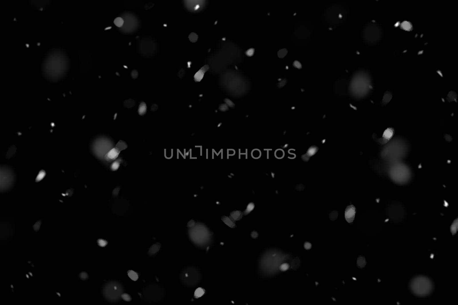 Real falling snow on a black background
