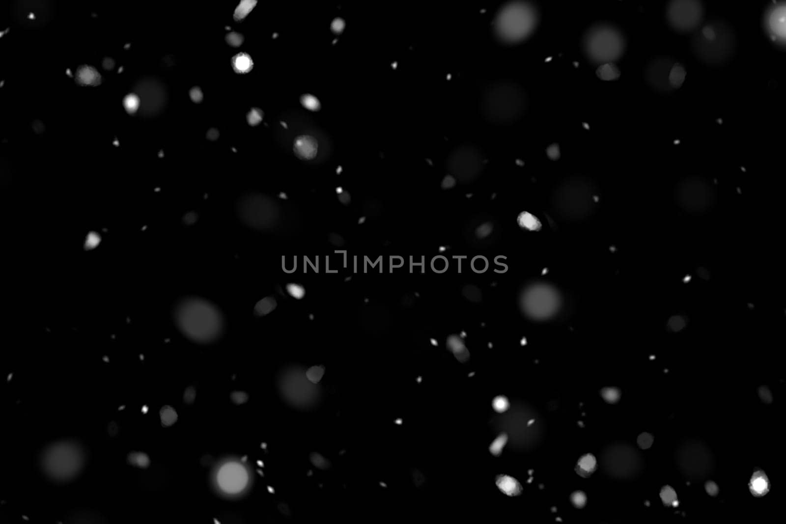Real falling snow on a black background