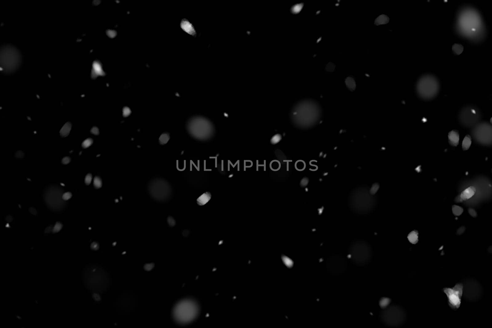 Real falling snow on a black background