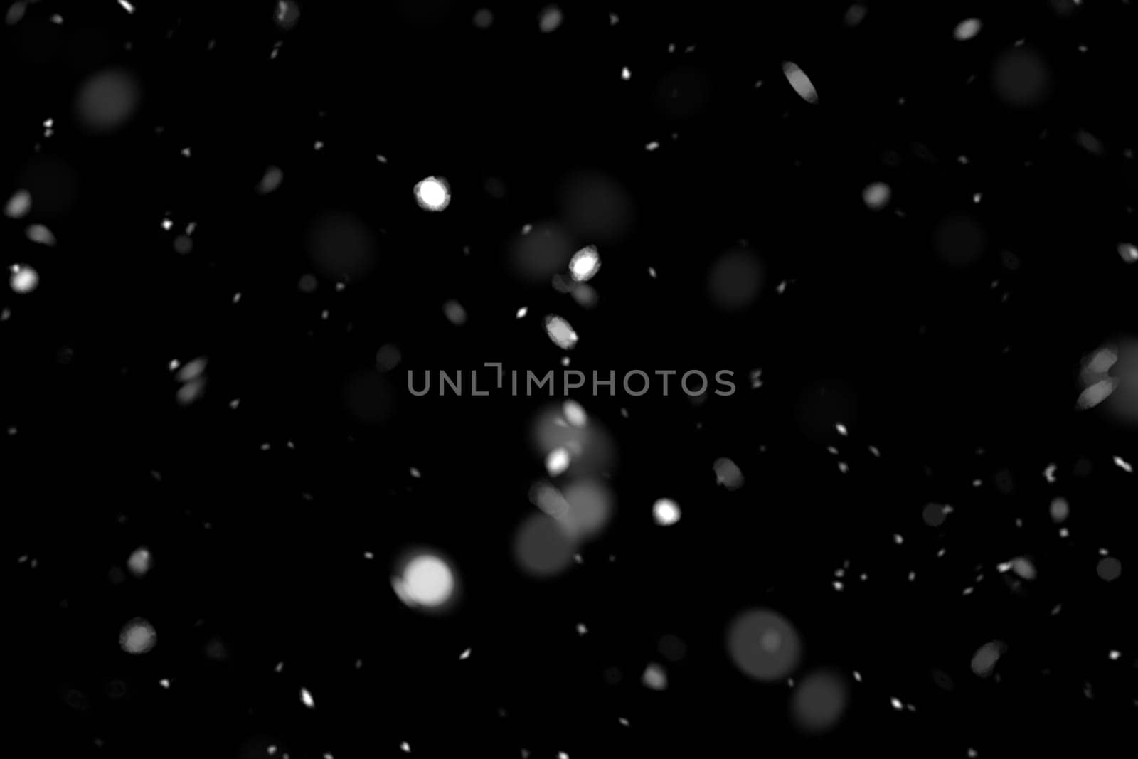 Real falling snow on a black background