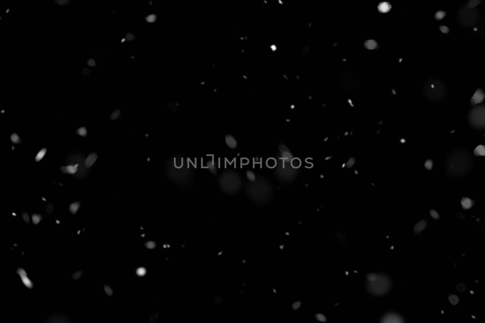 Real falling snow on a black background
