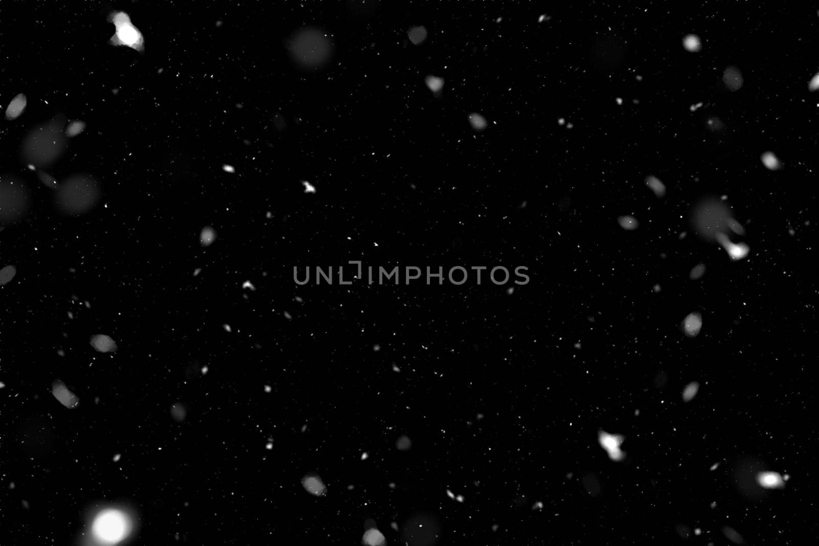Real falling snow on a black background