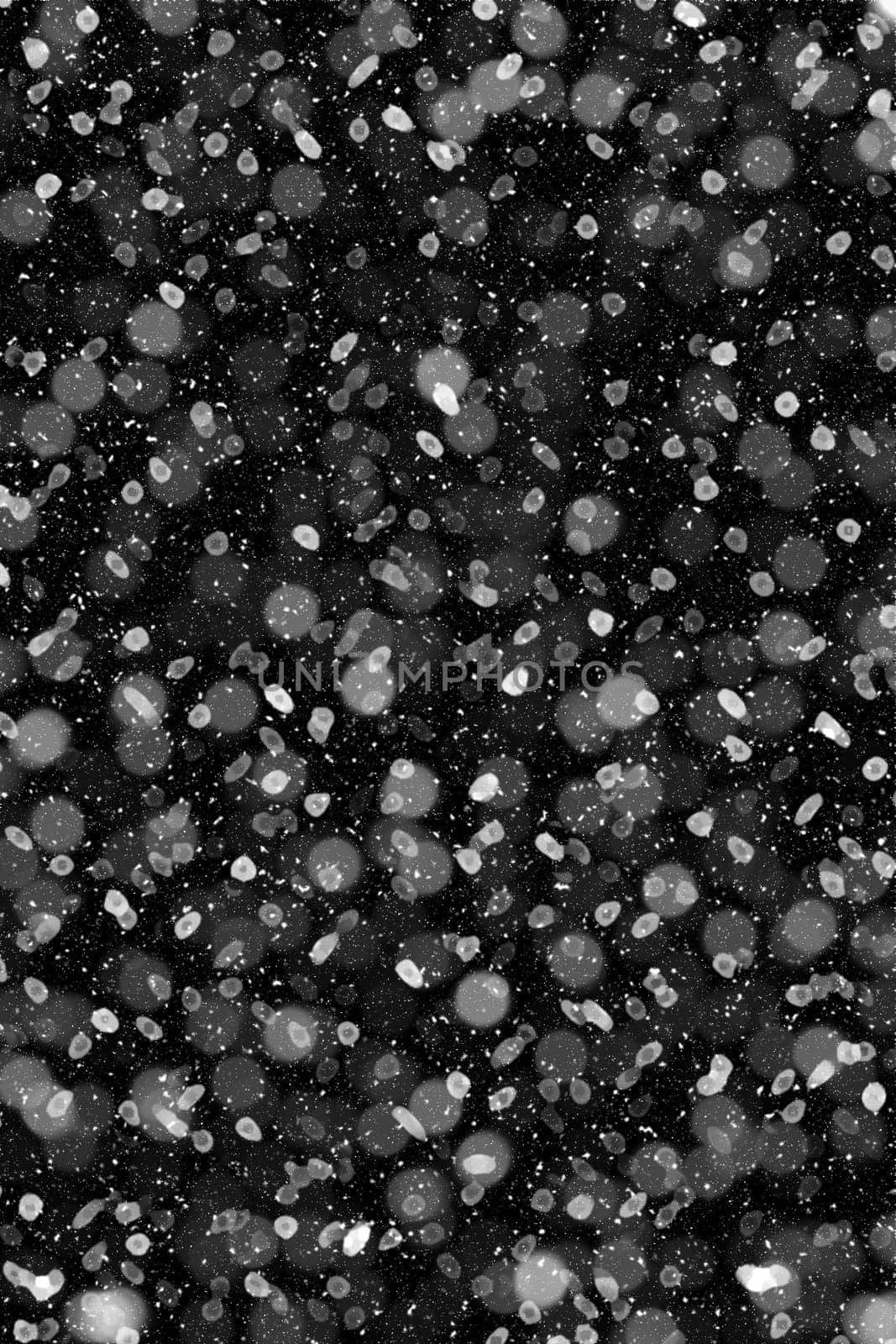 Real falling snow on a black background