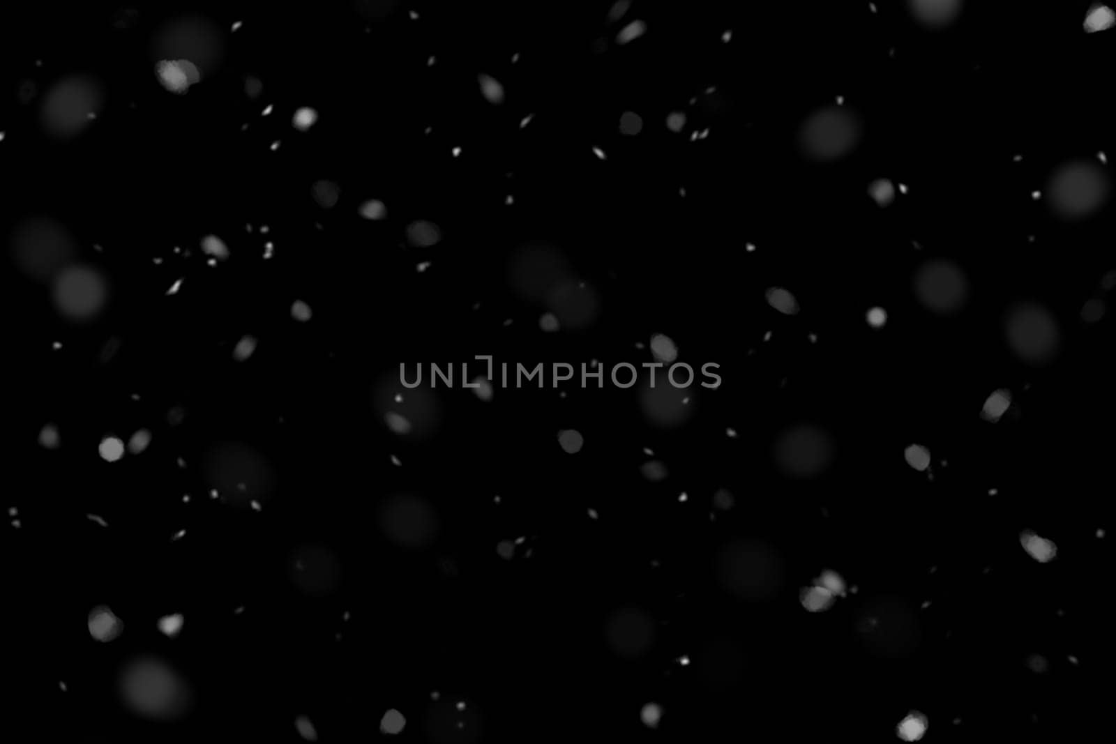 Real falling snow on a black background