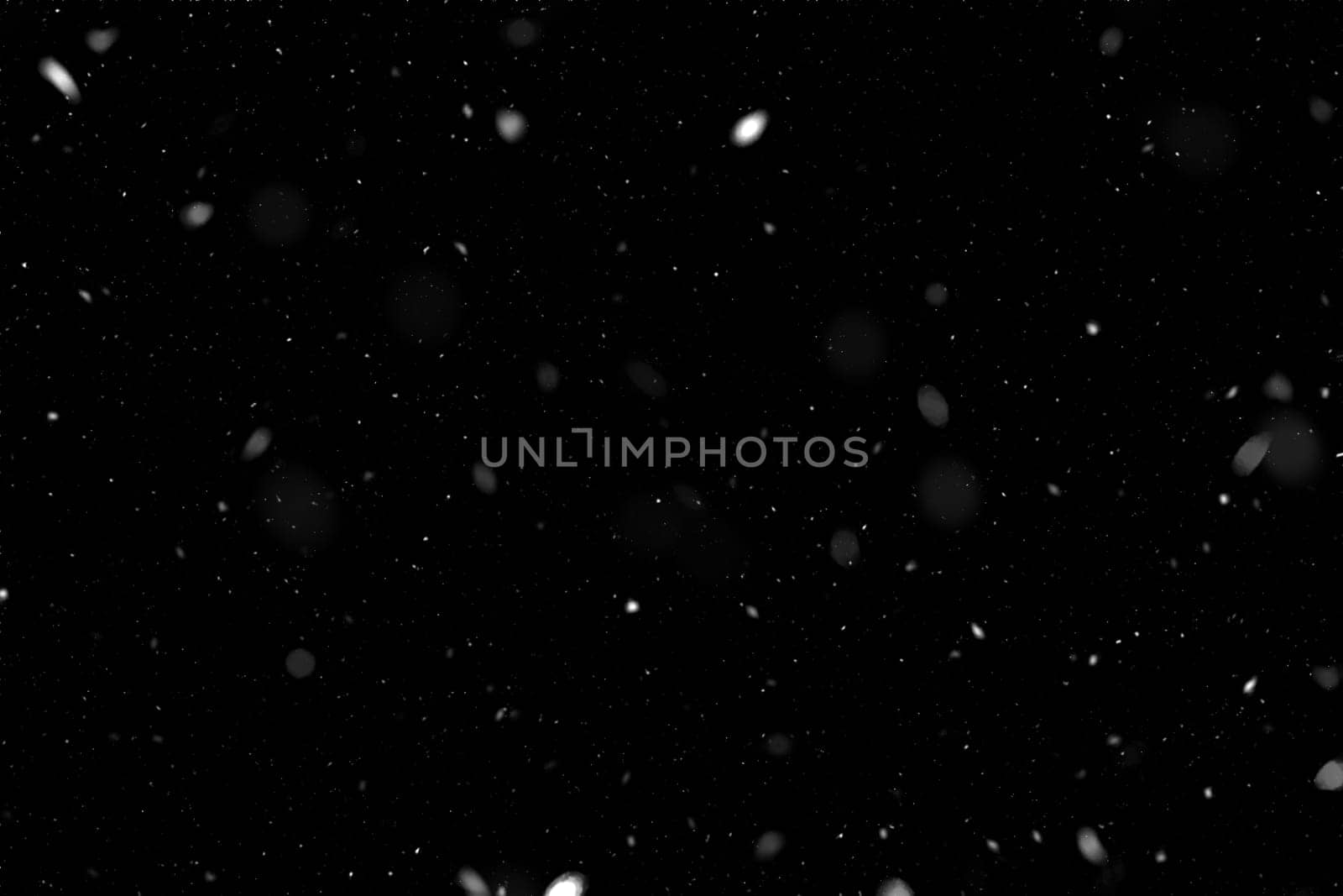 Real falling snow on a black background