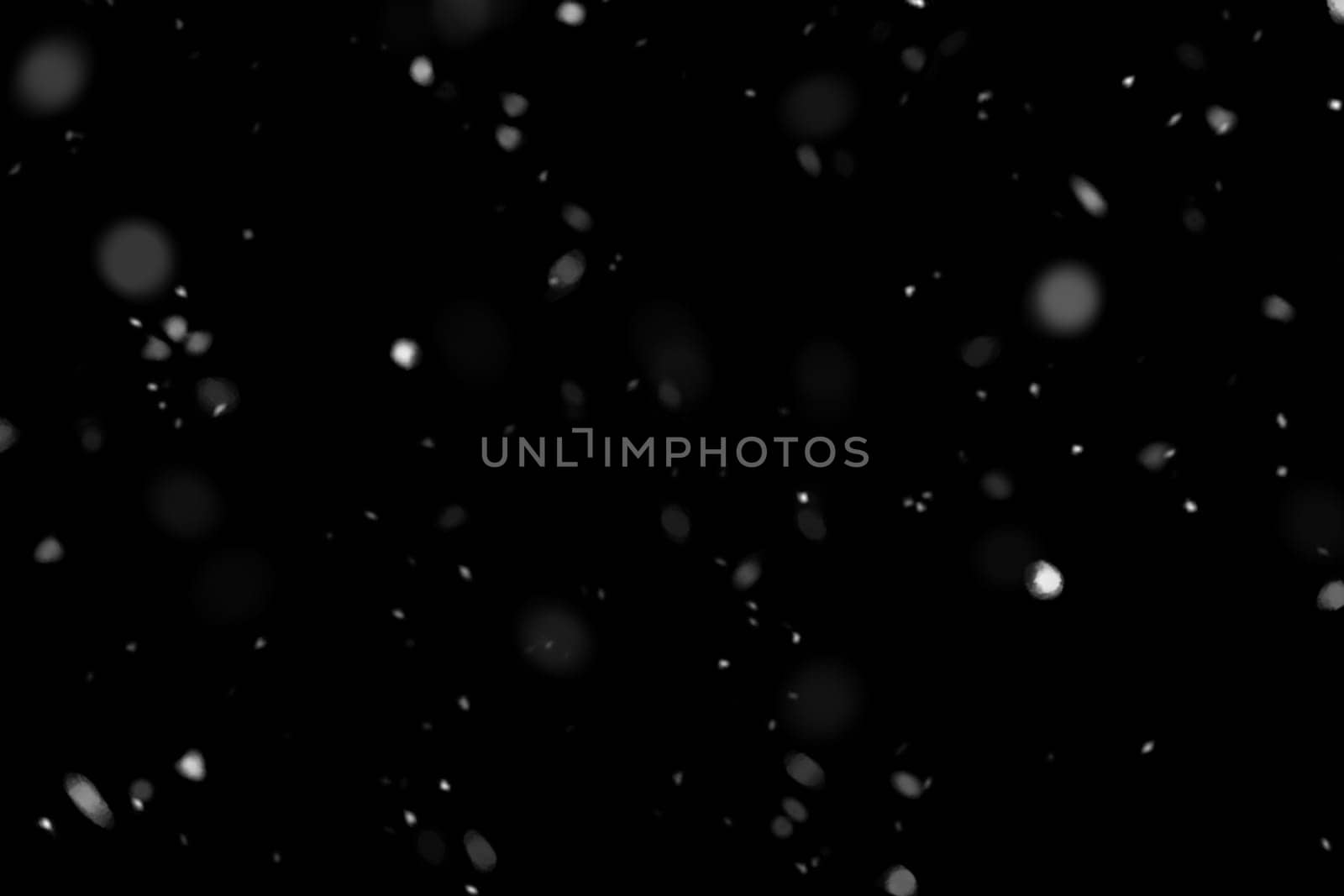 Real falling snow on a black background