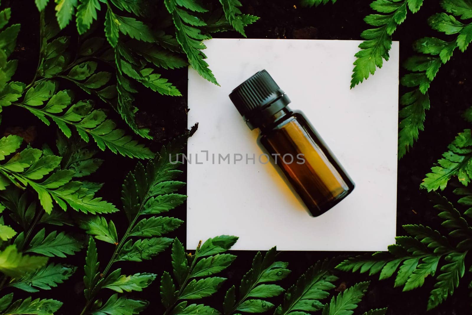 Skin cream and beauty flower
