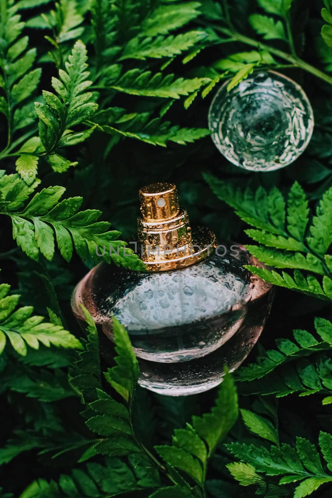 Skin cream and beauty flower
