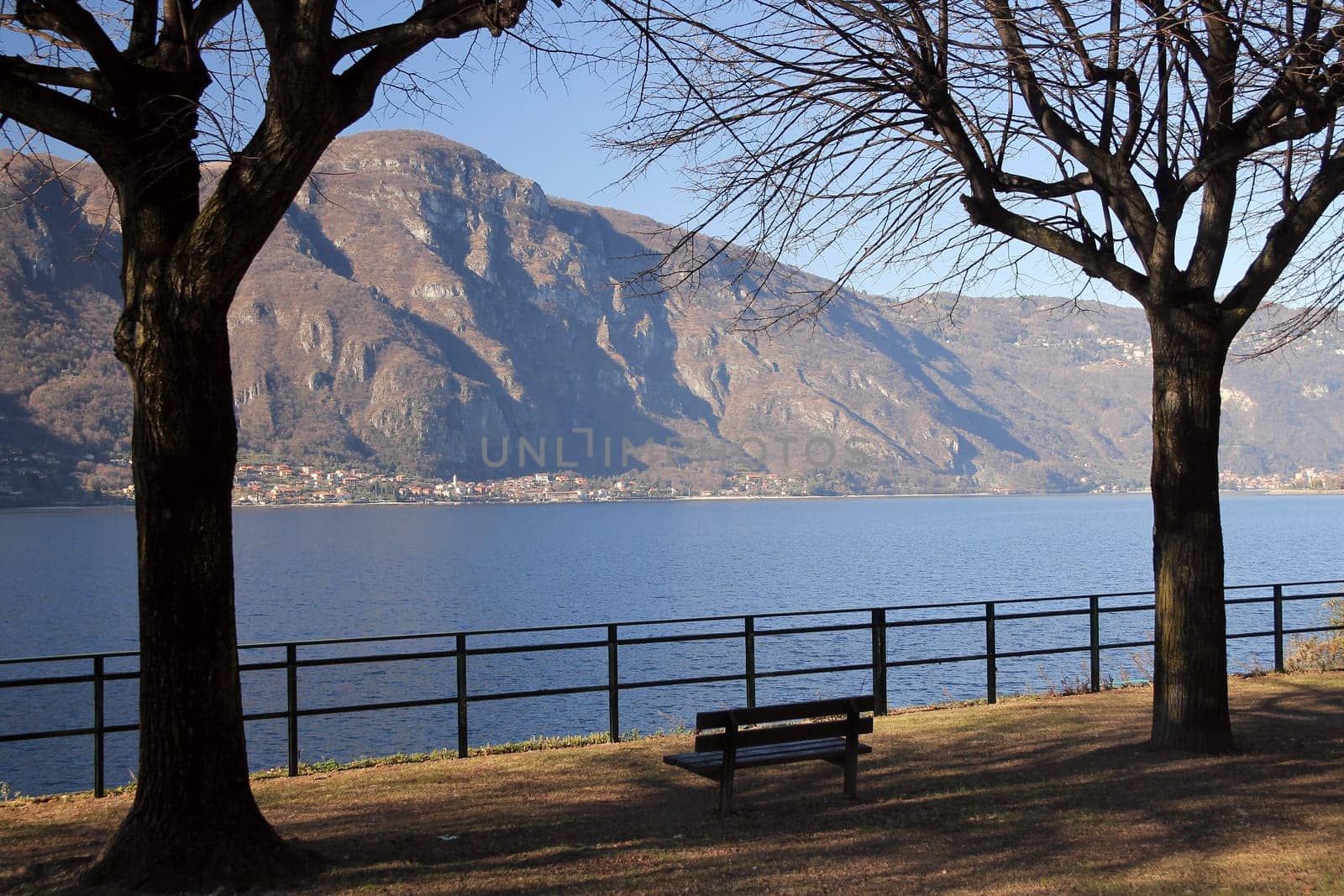 A bench between the trees looking towards the lake and the Alps on the Lake of Como in Italy