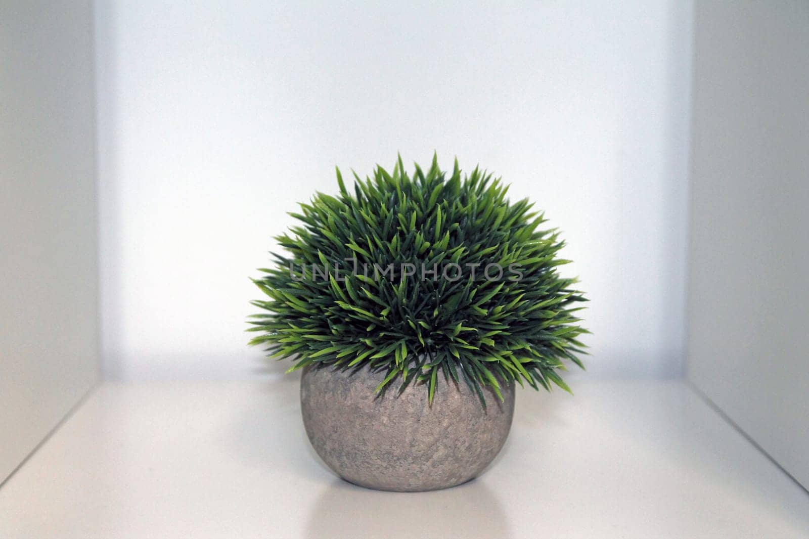 A green isolated artificial plant with a grey vase on a white shelf