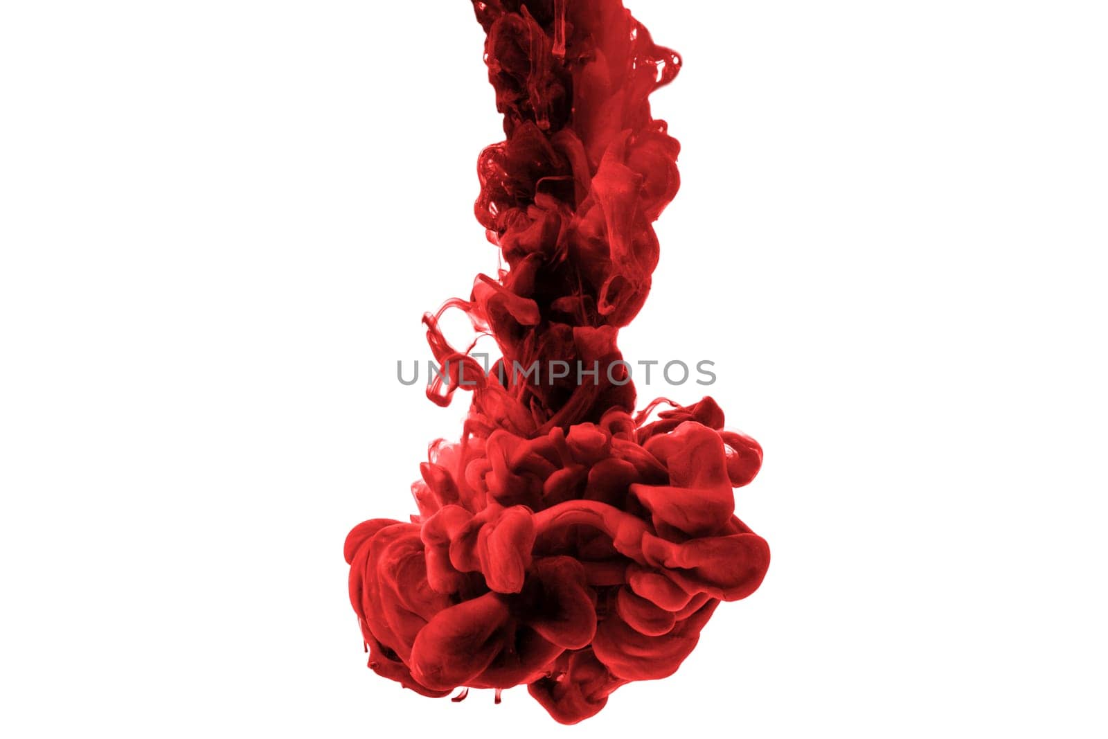 abstract powder splatted background. Colorful powder explosion on white background. Colored cloud