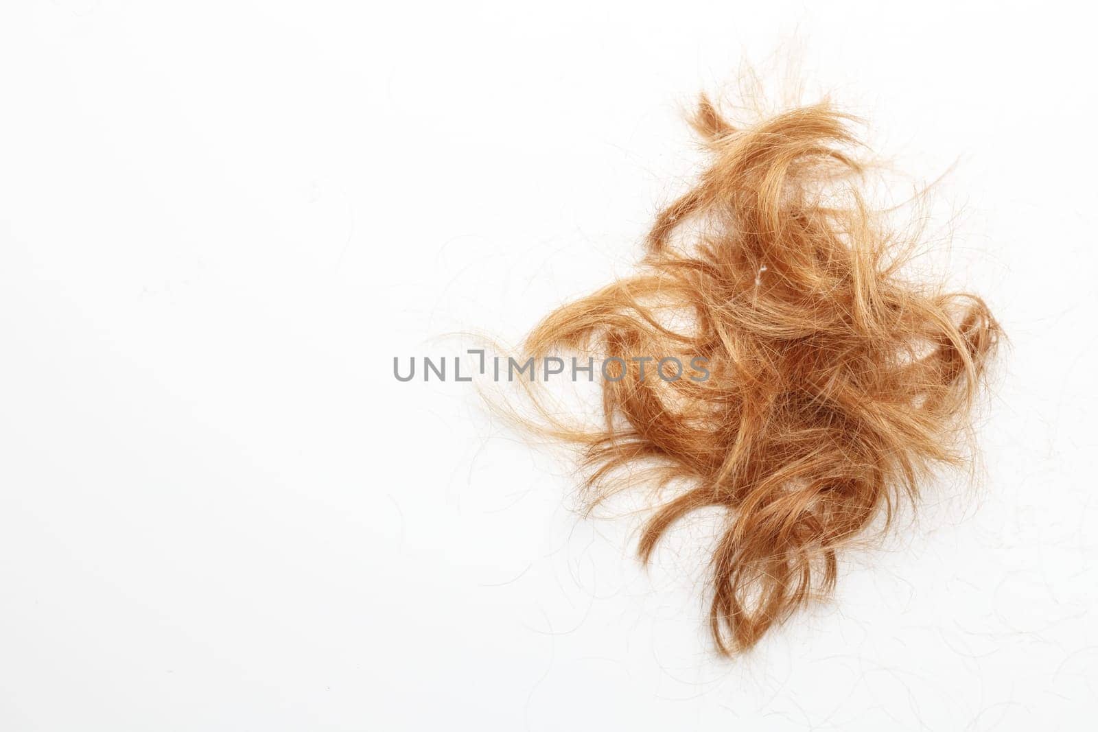 Very disheveled black hair isolated on white background. Bad hair day clipart. Back view.