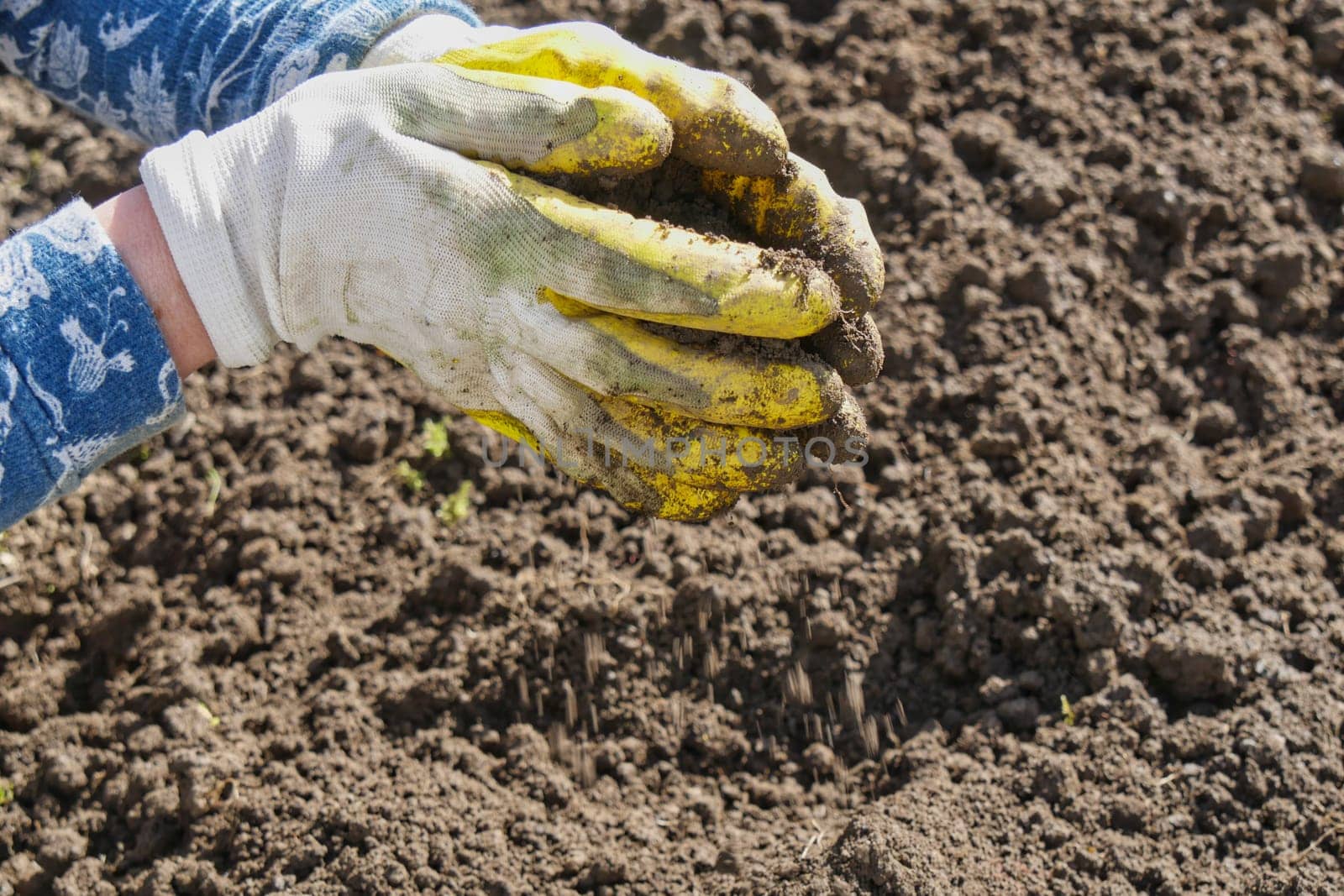 a close up of woman hands gardening
