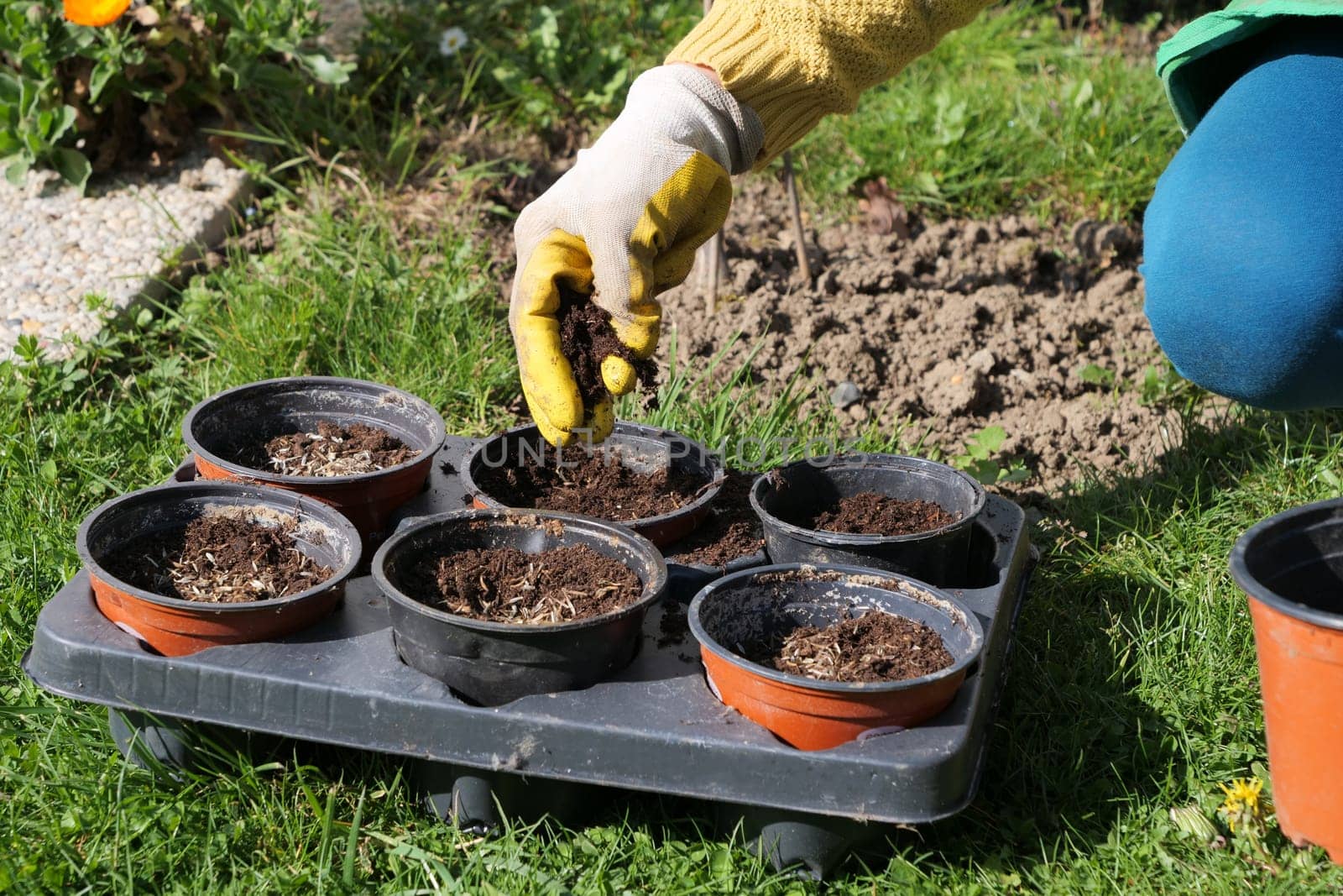 a close up of woman hands gardening