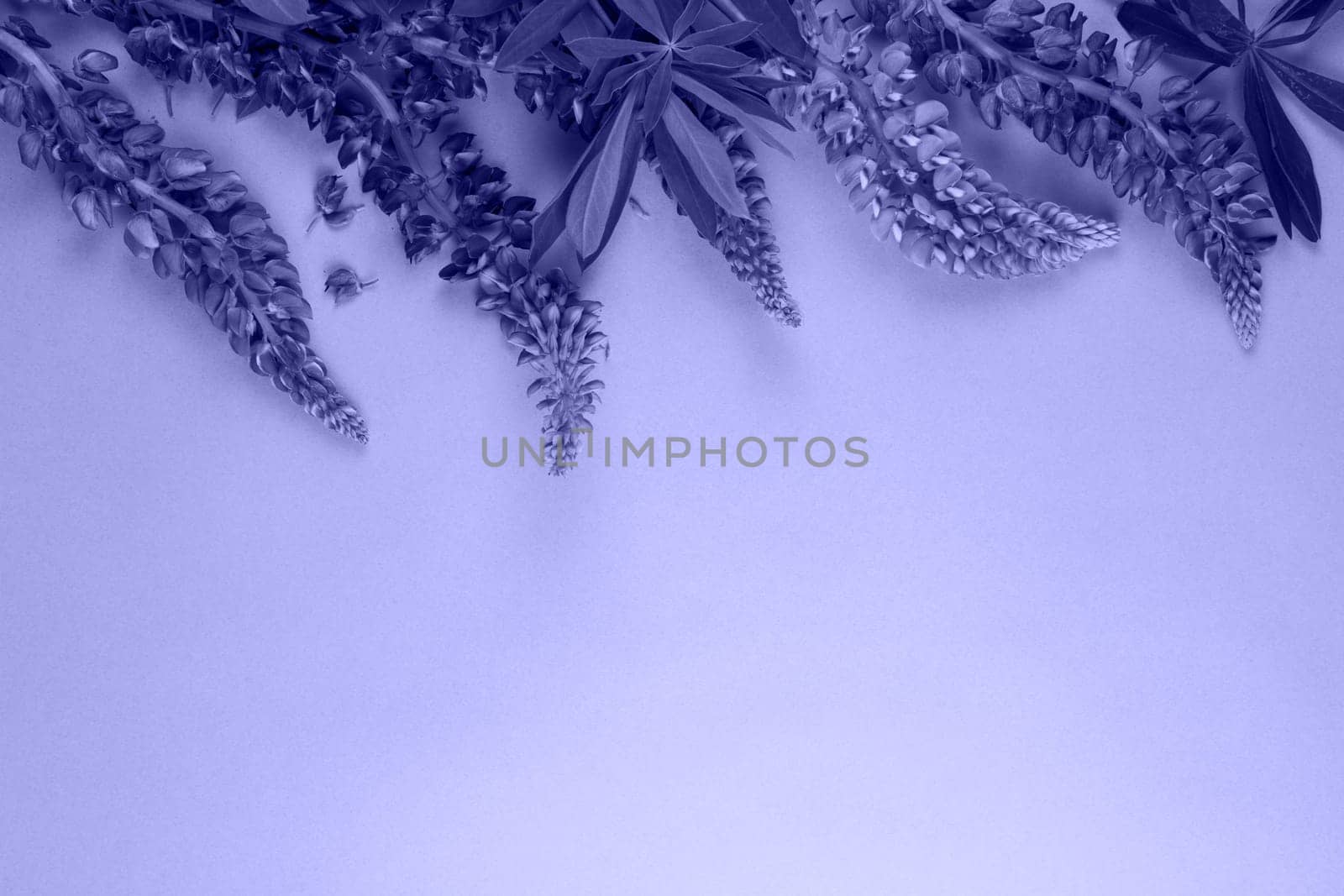 Background with flowers and leafs colored in trendy violet color