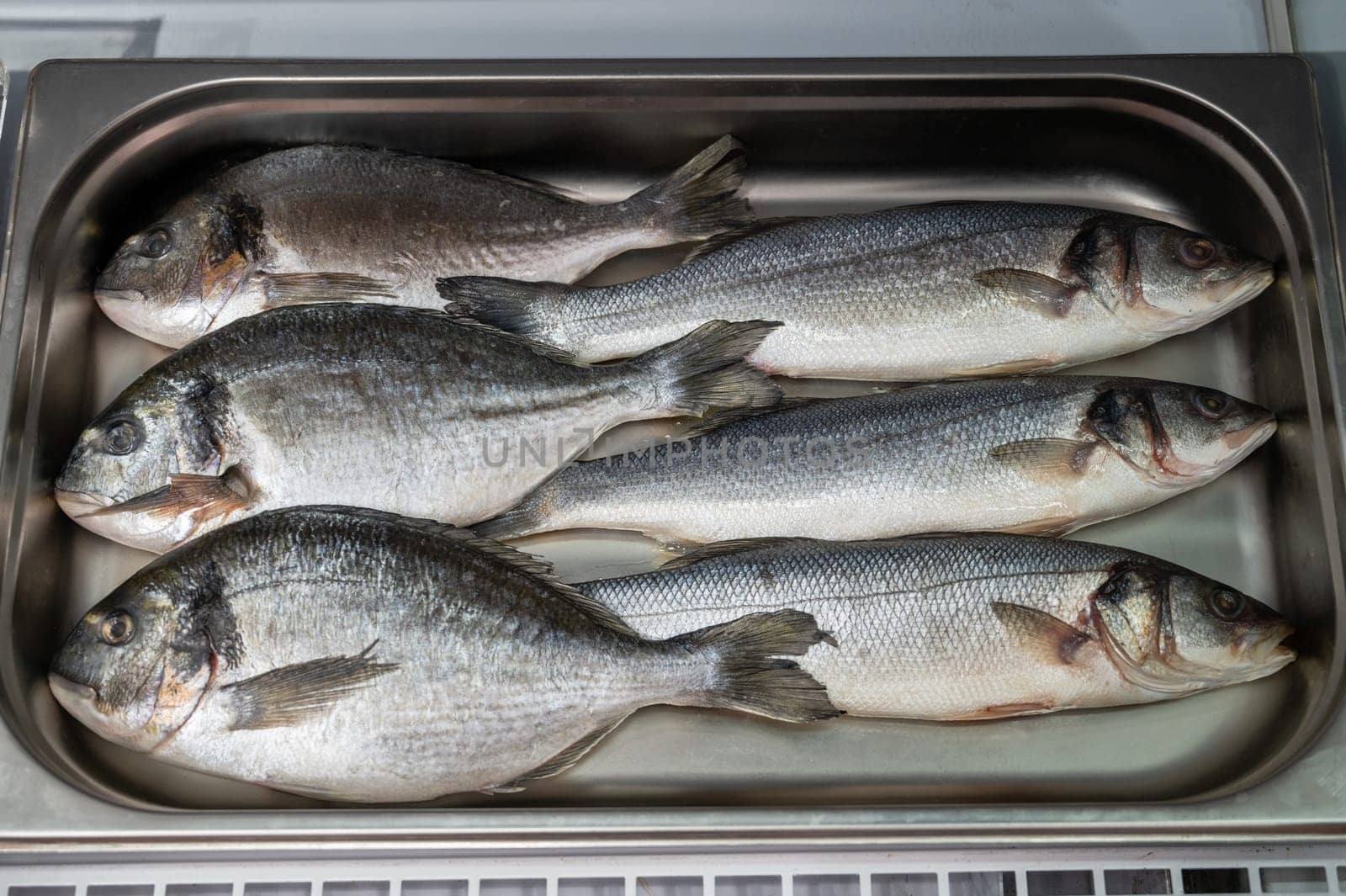 Fresh raw dorado and sea bass fish in the supermarket