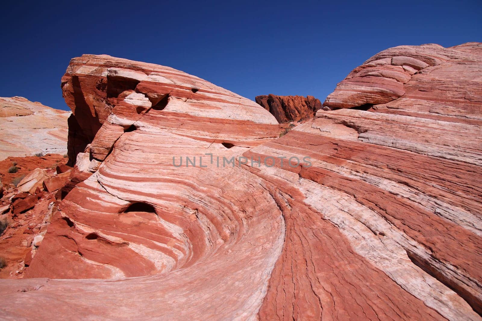 The curved lines designed by the erosion of the rock in the Valley of Fire in Nevada