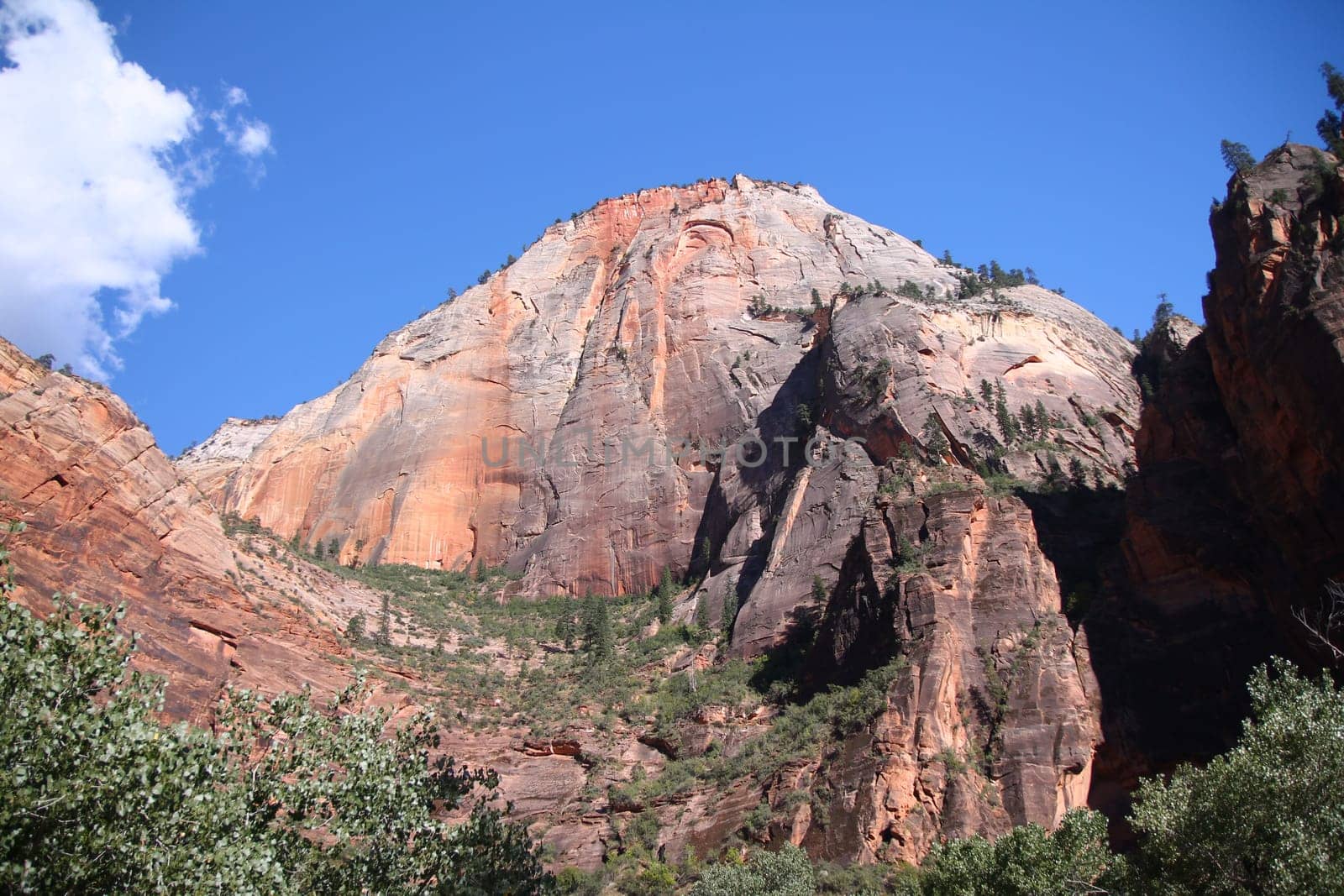 The big coloured mountain with the shades of the sun in Zion National Park in Utah