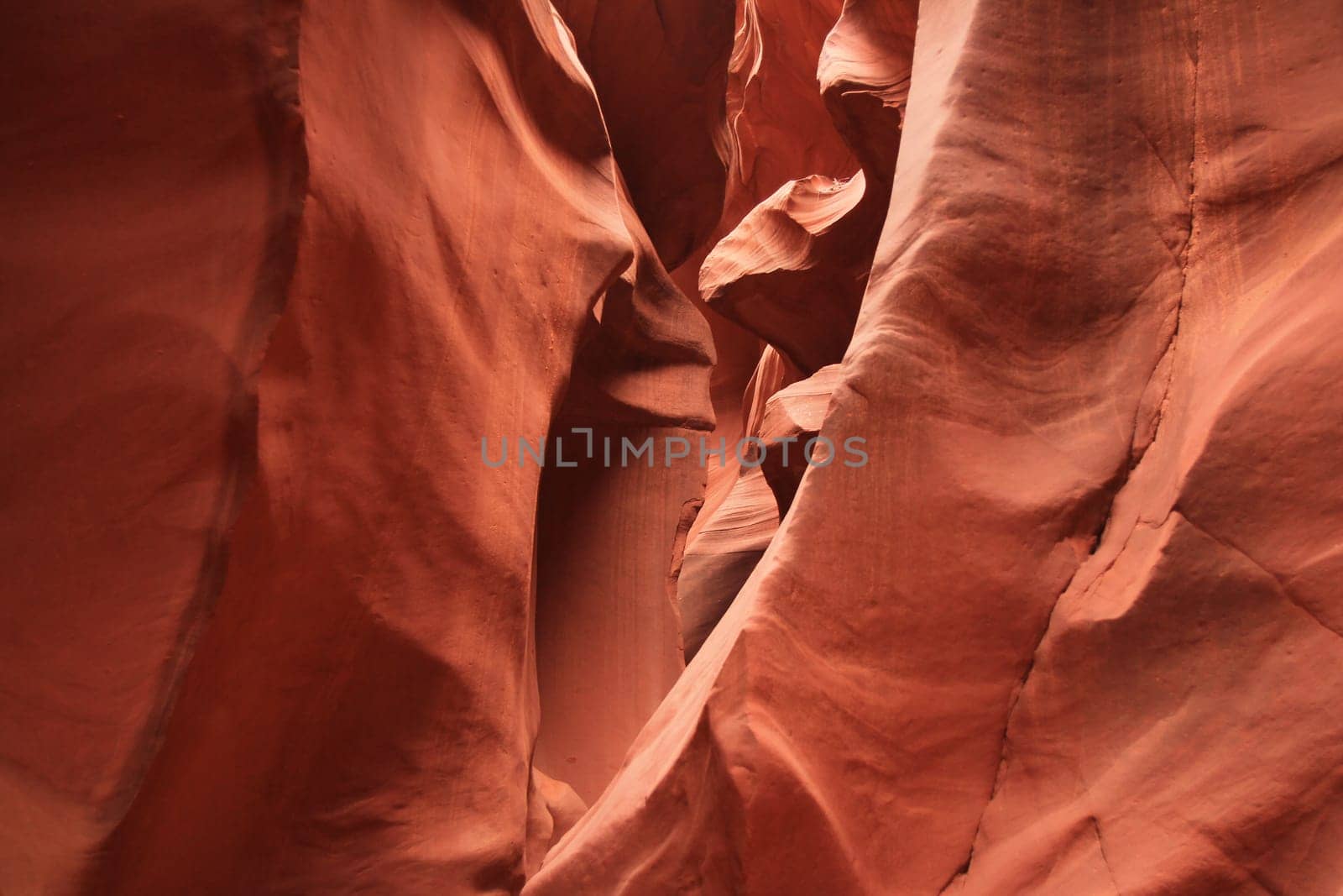 The narrow path surrounded by red walls in the Antelope Canyon in Arizona
