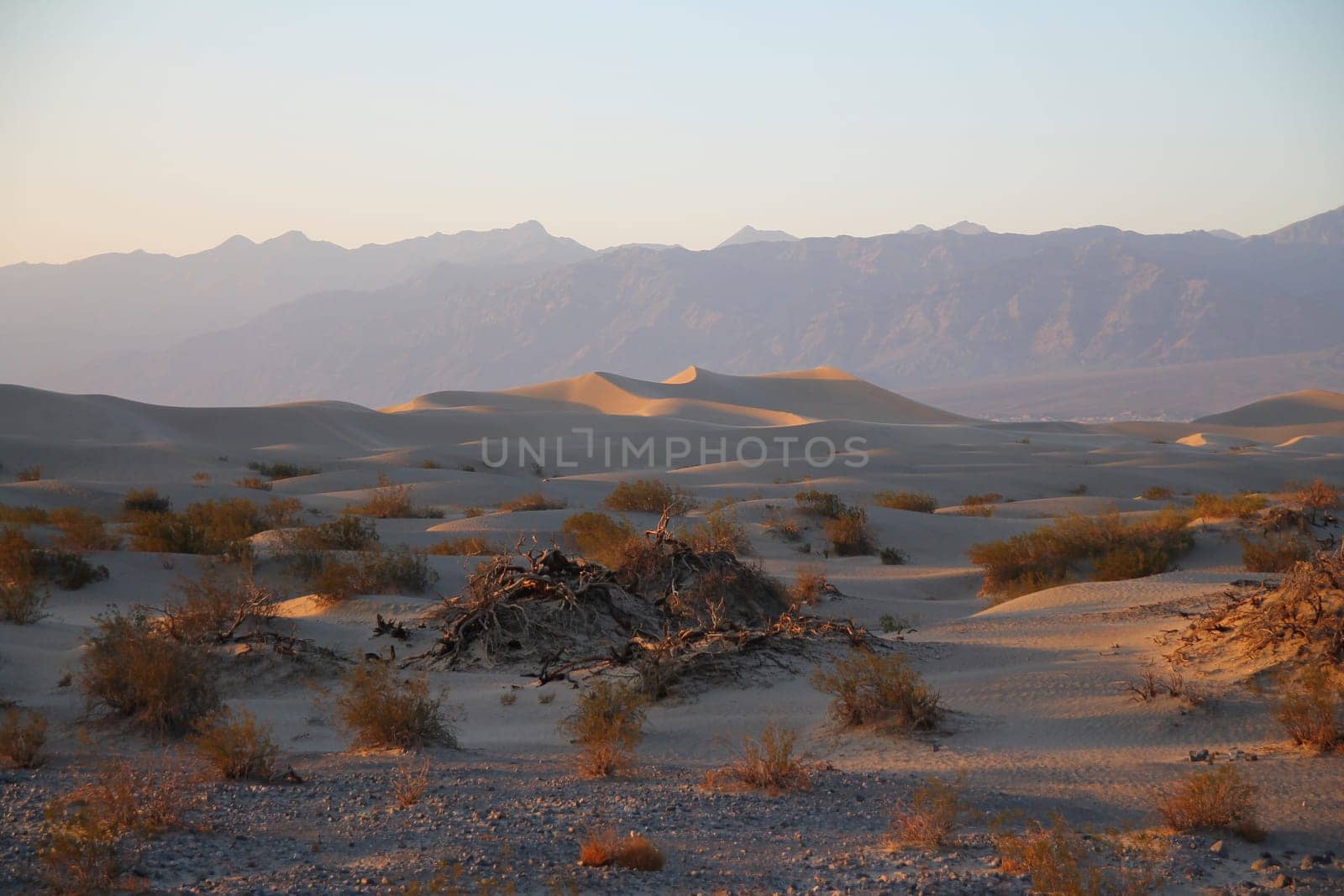 Mesquite Flat Dunes with the mountains on the back in the Death Valley desert during sunset, in California