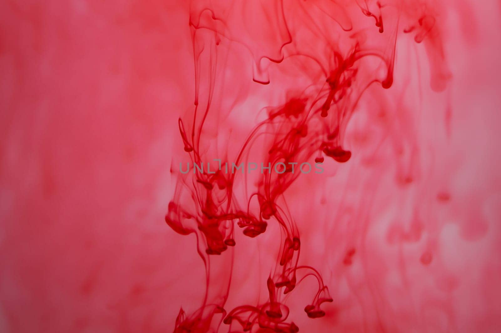 Red ink in the water abstract background. splashes of paint in liquid
